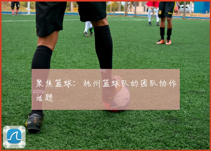 聚焦篮球：杭州篮球队的团队协作话题