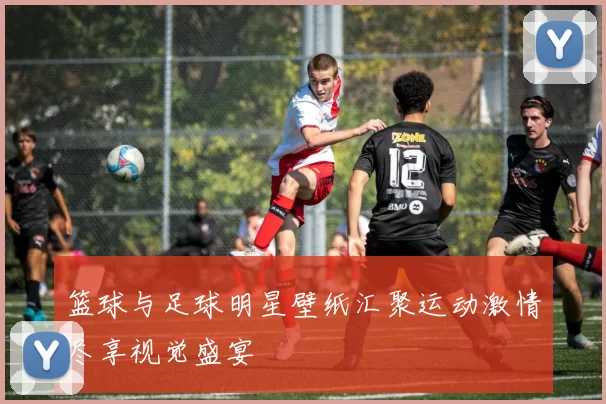 篮球与足球明星壁纸汇聚运动激情尽享视觉盛宴