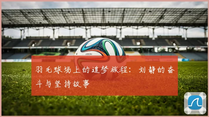 羽毛球场上的追梦旅程：刘静的奋斗与坚持故事