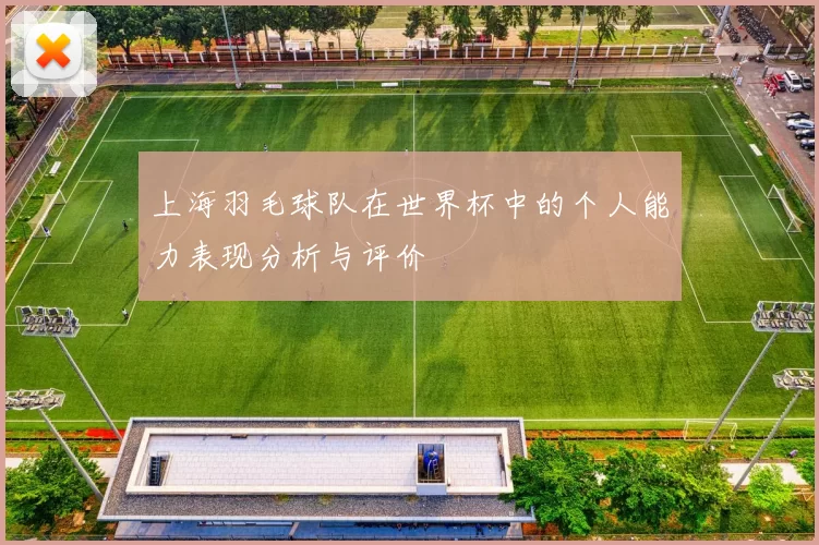 上海羽毛球队在世界杯中的个人能力表现分析与评价
