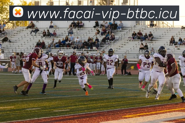 MK体育APP 封面图